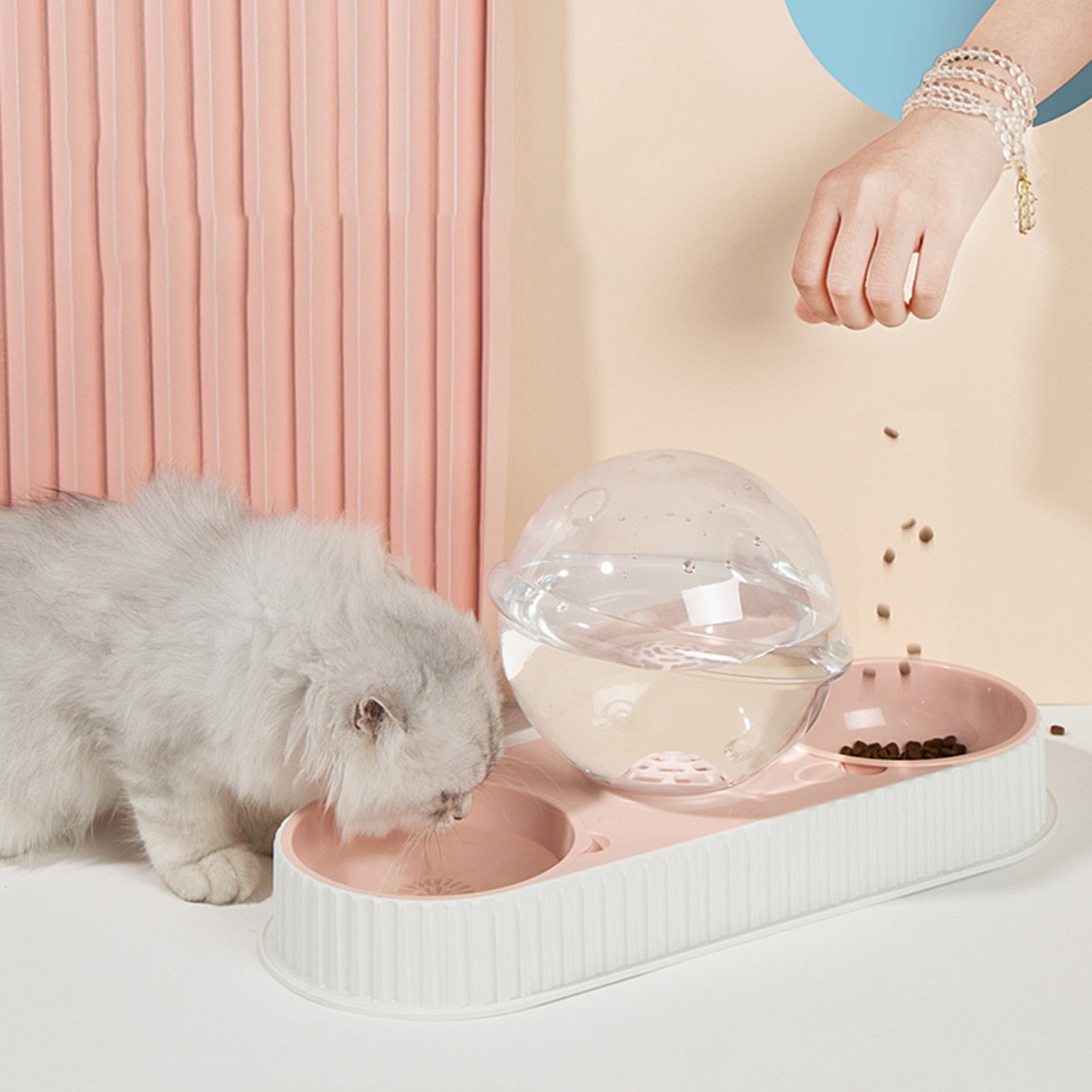 Enhance Your Pet's Life with Our Automatic Feeder